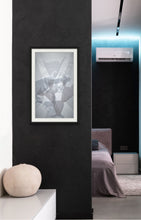 Load image into Gallery viewer, Untitled 8282