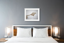 Load image into Gallery viewer, Untitled 8289