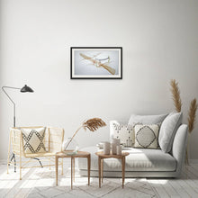 Load image into Gallery viewer, Untitled 8359
