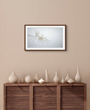 Load image into Gallery viewer, Untitled 8370