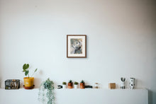 Load image into Gallery viewer, Brainfix