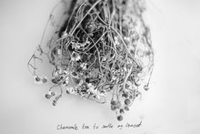 Load image into Gallery viewer, Chamomile