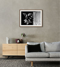 Load image into Gallery viewer, Mornings