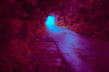 Load image into Gallery viewer, Mother, I'm Coming Home