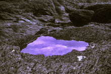 Load image into Gallery viewer, The Elixir of Life