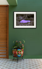 Load image into Gallery viewer, The Elixir of Life