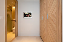 Load image into Gallery viewer, The Stansted 15. No-one is illegal