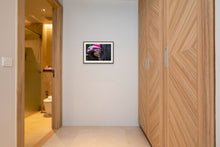 Load image into Gallery viewer, The Stansted 15. No-one is illegal III