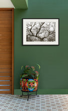 Load image into Gallery viewer, The Tree of Life