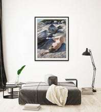 Load image into Gallery viewer, Exposure II