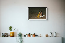 Load image into Gallery viewer, The Rival